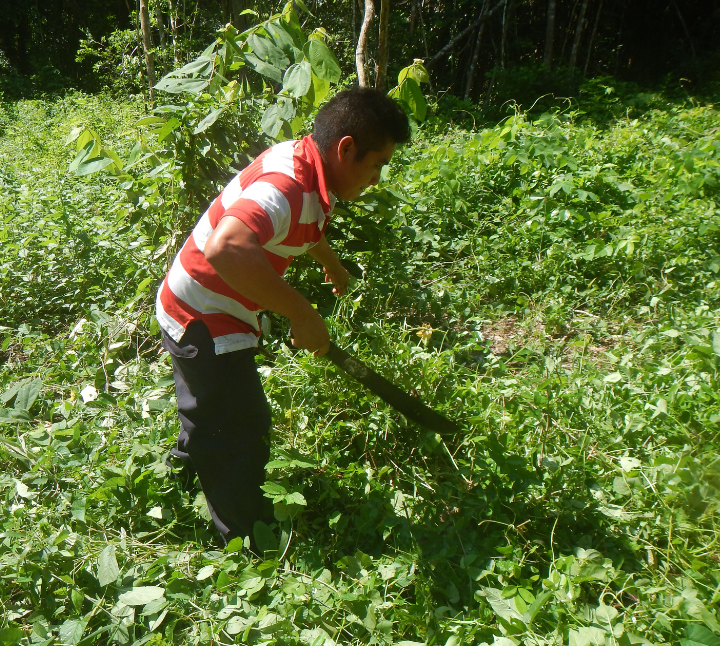 Site photo from the Mexico IFM Laguna Síjil Noh-Há Carbon Project