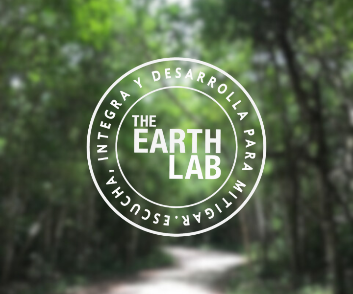 Carbon Project Mexico IFM Laguna Síjil Noh-Há | The Earth Lab