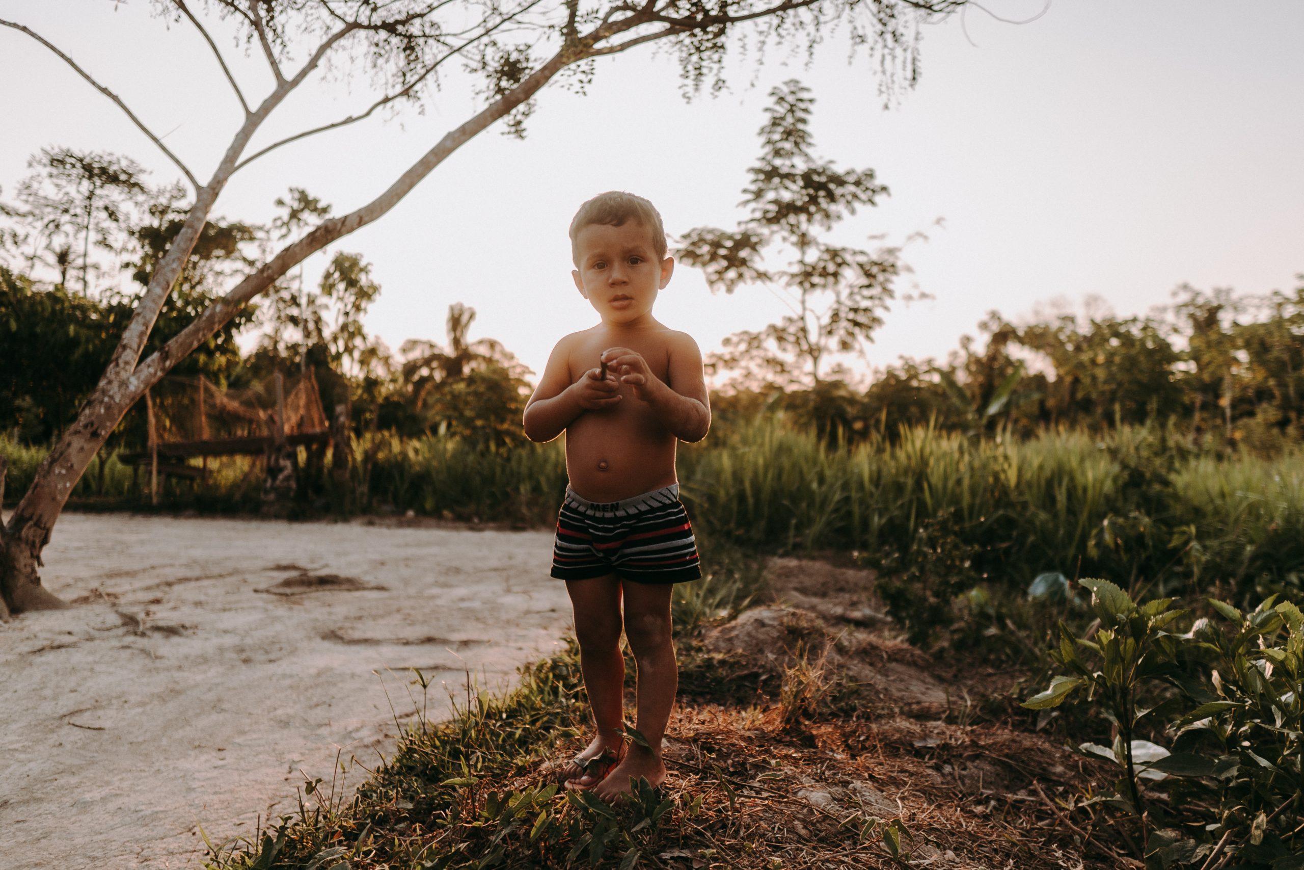 Brazil REDD+ Project Jatobá Carbon Project | About the Community