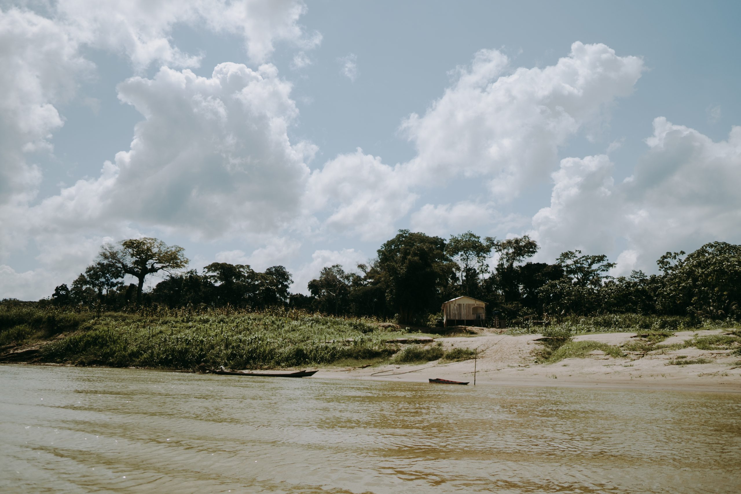 Site photo from the Brazil REDD+ Project Seringueira Carbon Project