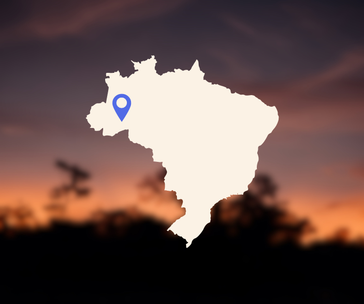 Site photo from the Brazil REDD+ Project Jatobá Carbon Project