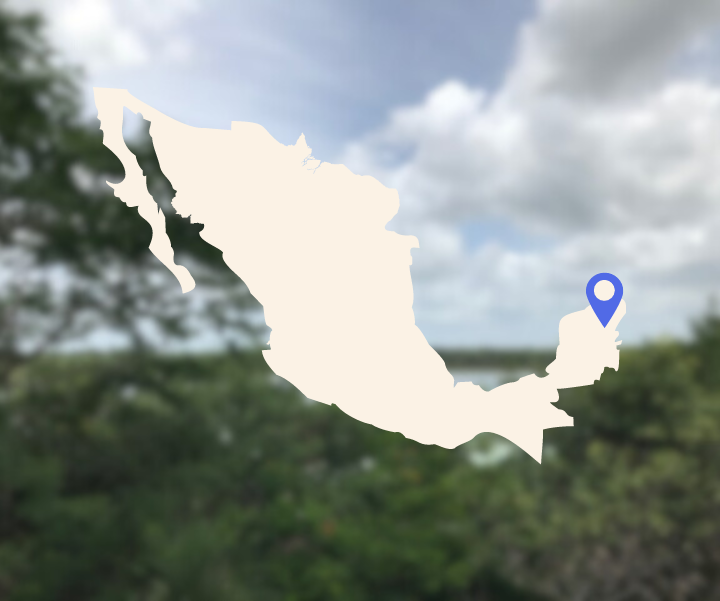 Site photo from the Mexico IFM Laguna Síjil Noh-Há Carbon Project
