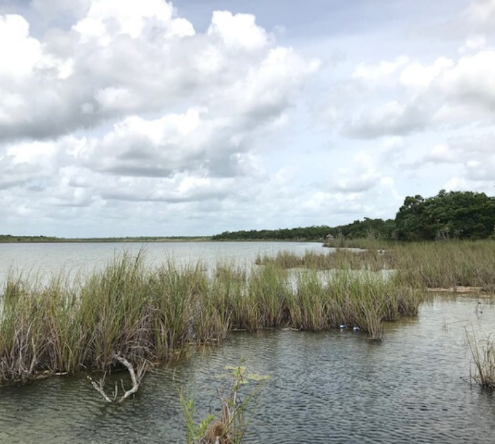 Site photo from the Mexico IFM Laguna Síjil Noh-Há Carbon Project