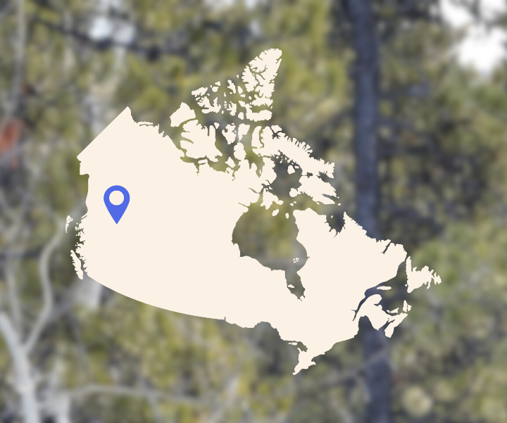Site photo from the Dene K'éh Kusān Forest IFM Carbon Project with Overlay of Map of Canada
