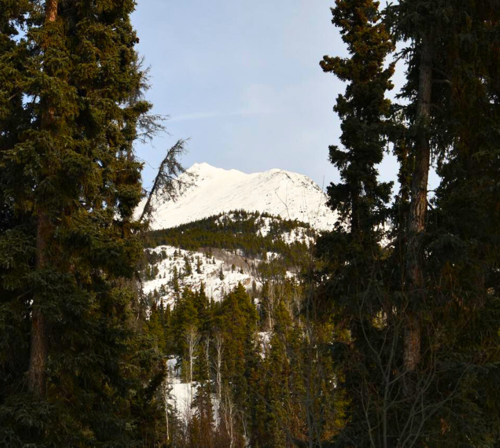 Site photo from the Dene K'éh Kusān Forest IFM Carbon Project