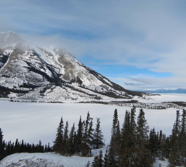 Site photo from the Dene K'éh Kusān Forest IFM Carbon Project