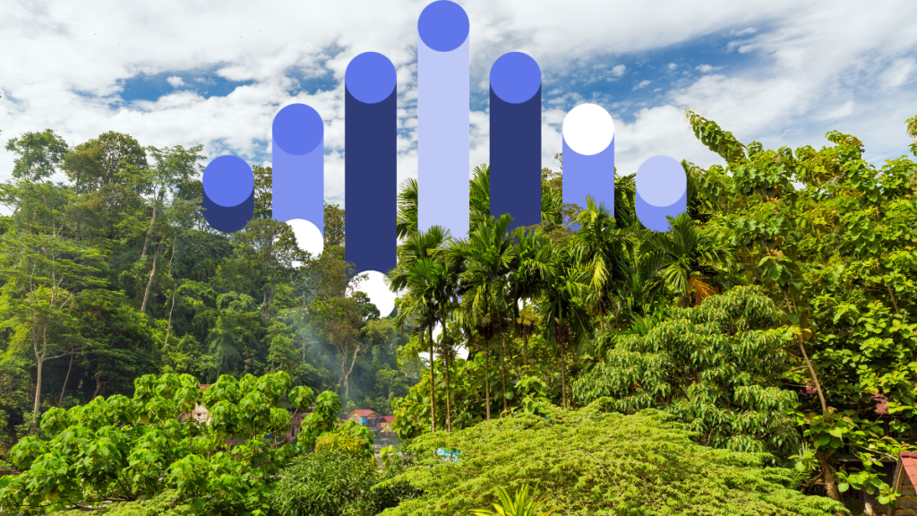 carbon credit insurance